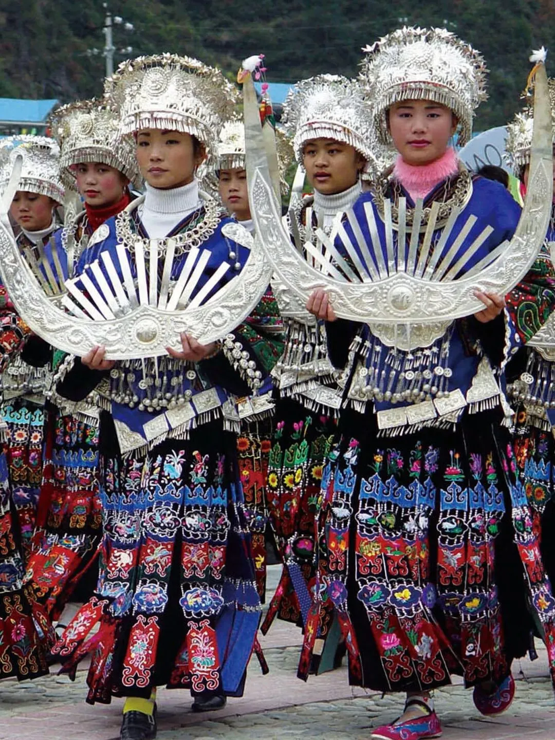 繁花银冠 参考图
